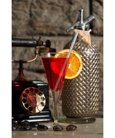 Cocktail Straws Short Reusable Metal Straws Stainless Steel with Cleaner Brush 160mm Long 6mm Wide for Cocktail Rock Gin Glass Coffee Cup Mason Jar Fruit Juice Box Sliver-8pcs 0.25" x 6.25" Sliver - Buy Online on GoSupps.com