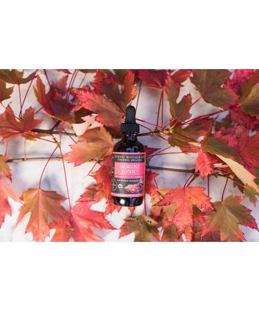 Urban Moonshine Immune Tonic with Red Reishi & Astragalus - 2 FL OZ - Supports Healthy Defenses - Buy Online on GoSupps.com