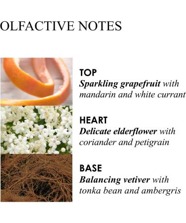 Molton Brown Vintage Elderflower Bath & Shower Gel - Buy Online on GoSupps.com