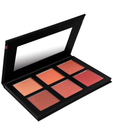 SHANY Shimmer & Matte Powder Blush Makeup Palette with Mirror - BLUSH - Powder Blush - Buy Online on GoSupps.com