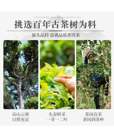 Pu-erh tea 2022 Jingmai Laozhai 357g Raw - Buy Online on GoSupps.com