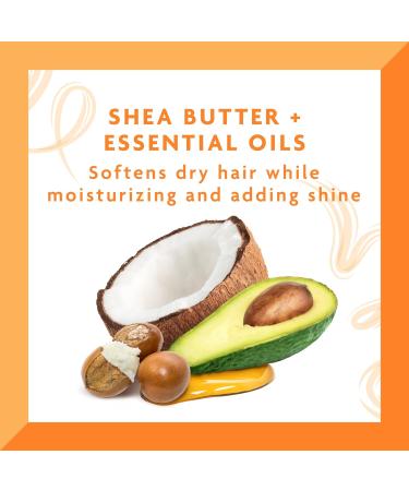 Cantu Shea Butter Leave-In Conditioning Cream 12 oz (Pack of 2) - For Natural Hair | Packaging May Vary - Buy Online on GoSupps.com