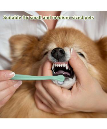 2-Piece Dog Toothbrush Set - Soft Mini Toothbrush for Puppies & Cats | Portable Deep Cleaning | Easy Travel Use - Buy Online on GoSupps.com
