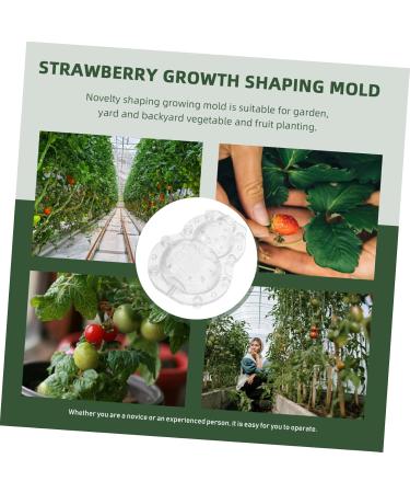 SEWOART 1 Set Shaping Clear Mold Vegetable DIY Molds Melon Stereotypes Plastic Forming Machine - Buy Online on GoSupps.com