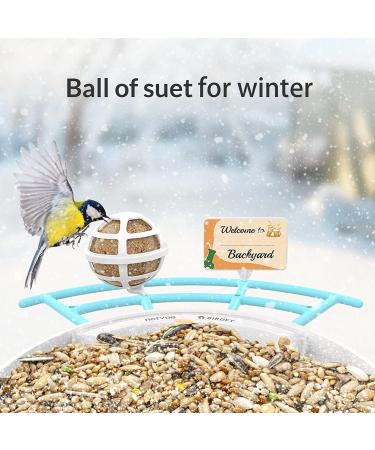 Netvue Multifunction Bird House Stand & Feeder | Versatile Bird Feeding Station for Wild Birds - Ideal for Potions Fruits & Vegetables - Buy Online on GoSupps.com