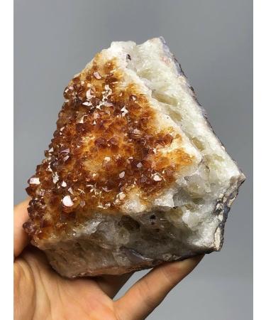 1PC 1PC Natural RAW Citrine Quartz Yellow Quartz Standard Room Decoration (Size : 50-100g) (Size : 1 Count (Pack of 1)) - Buy Online on GoSupps.com