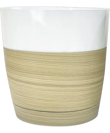 Costa Farms Premium Sansevieria Indoor Snake Plant - 2ft Tall in Decor Planter - Buy Online on GoSupps.com