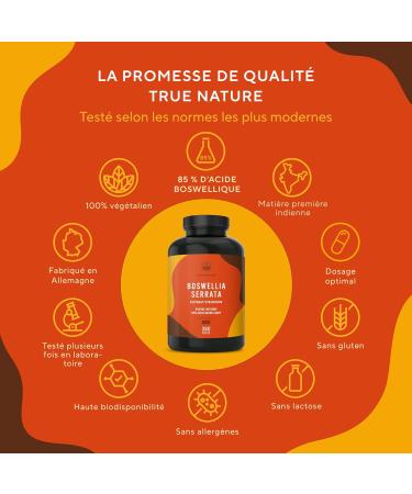 Boswellia Serrata 20.000mg - 360 Capsules - Wellness Joint - 85% Boswellic Acid - Indian Incense (Extract 10:1) - Ayurveda Vegan - Free: Additives Lactose & Gluten - TRUE NATURE - Buy Online on GoSupps.com