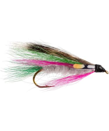 The Fly Fishing Place Classic Streamers Collection - 12 Trout Wet Fly Streamers, Size 4 - Buy Online on GoSupps.com