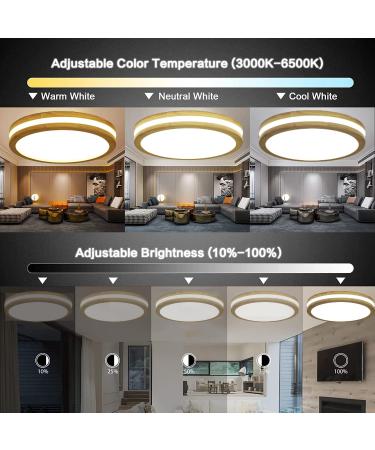 Buy Ghiycotdl 40cm Dimmable LED Ceiling Light - Modern Wood Round Lamp for Bedroom Living Room & Office - 24W 3000K-6000K - Buy Online on GoSupps.com