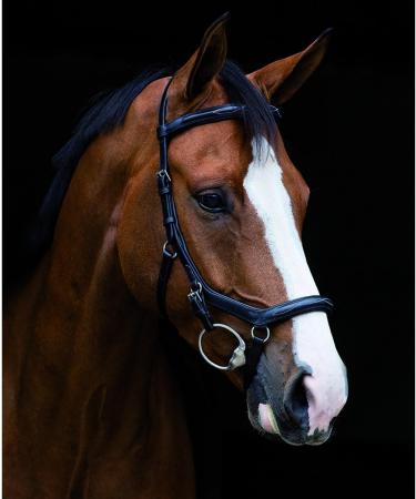 Buy Horseware Rambo Micklem Deluxe Competition Bridle - Customizable Colors & Sizes - Black M - International Shipping - Buy Online on GoSupps.com
