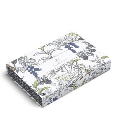 Teabloom Organic Black Forest Pyramid Tea Box - 12 Assorted Black Tea Blends | USDA Certified Organic Sachets - Buy Online on GoSupps.com