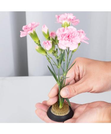 Metal Flower Frogs Round Arranger Set - 7 Pcs Floral Arrangement Pin Holder for Plant Decoration - Gold (1.3 Inch & 2 Inch) - Buy Online on GoSupps.com