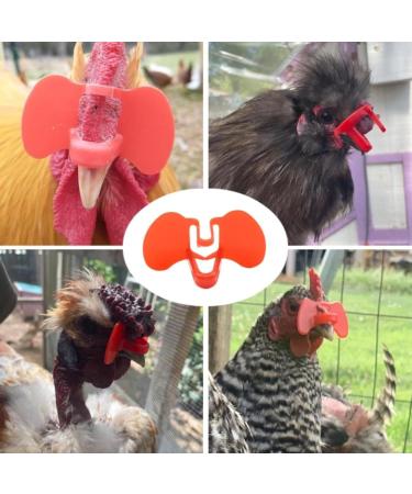 Chicken Eyes - Reusable Anti-Prick Glasses for Poultry Bird Beak Protection | Clip-on Eye Protection for Hens and Roosters for Flock Safety Strenmen - Buy Online on GoSupps.com