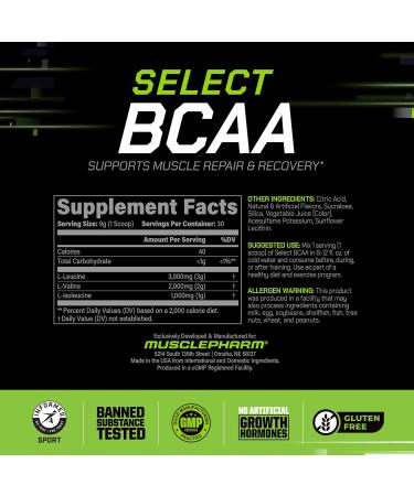 MusclePharm Essentials BCAA Powder, Pre & Post Workout Recovery Drink, Supports Muscle Recovery & Energy, Essential Amino Acids, 30 Serv, Fruit Punch - Buy Online on GoSupps.com