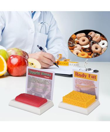 SimCoach 1 Lb Human Body Fat & Muscle Replica for Fitness Motivation | Nutritionist & Athlete Muscle Fat Model - Buy Online on GoSupps.com