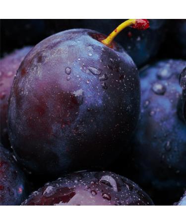  O BOTICARIO O Botic rio Nativa SPA Black Plum Gift Set with 3 Products in Box | Moisturizing Body Cream 400ml Body Oil 200ml & Hand Cream 75g - Buy Online on GoSupps.com