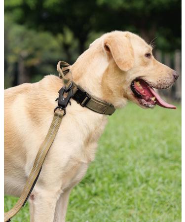 Joytale Tactical Dog Collar for Large Dogs | Durable Khaki Collar with Handle & QR Code Dog Tag | Perfect for International Shipping - Buy Online on GoSupps.com
