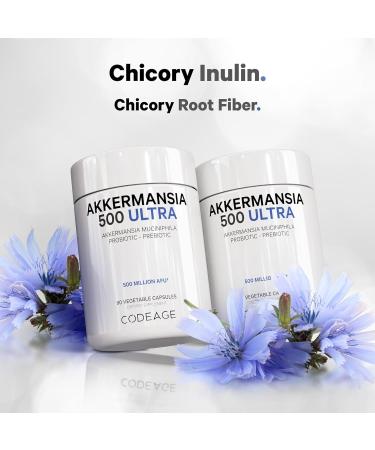 Codeage Akkermansia Muciniphila Probiotic Ultra - High-Potency 500M AFUs Akkermansia Probiotic Supplement - Enhanced Daily Probiotic & Prebiotic Chicory Inulin - 3-Month Supply - 90 Capsules - Buy Online on GoSupps.com