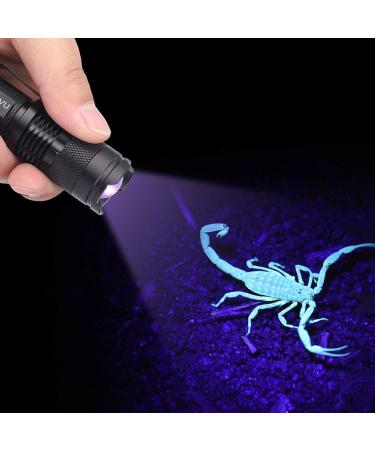 Zerodis Purple Flashlight - 395/365 Nm Black Light for Pets & Invisible Ink Detection | Portable UV Light for Urine Stains & Mini-Tubes - Buy Online on GoSupps.com