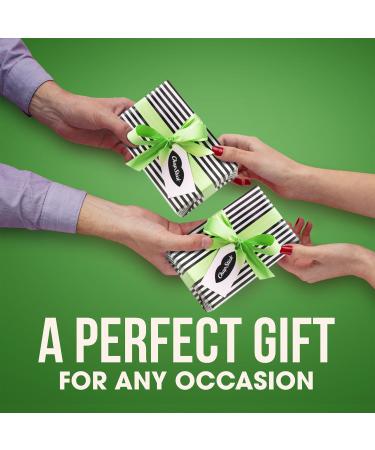 ChapStick Lip Balm Mint Favorites (Vanilla Mint Minty Delight and Peppermint) + 2 Classic Spearmint 0.15 Oz Ea (5 Piece Set) - Buy Online on GoSupps.com