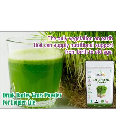 DX3 Barley Grass Juice Powder |Super food |Natural Alkaline and Chlorophyll - 100 GM - Buy Online on GoSupps.com