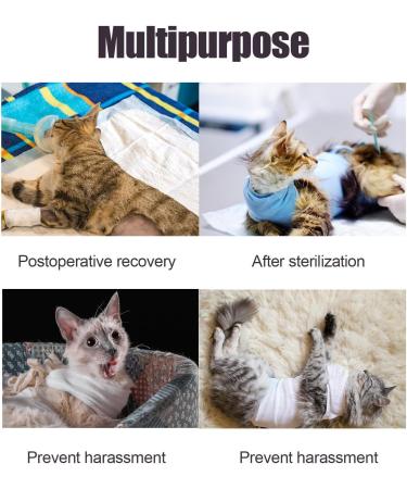Tomtary Cat Surgical Recovery Suit Professional Cat Surgery Recovery Suit Anti Licking Cat Vest Body Suits Medical Care Cone Collar Alternatives Suit for Cats Weaning Wounds Skin Diseases(Purple M) - Buy Online on GoSupps.com