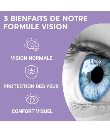 VISION FORMULA | Eye supplement | Blueberry Saffron Lutein Zinc and Vitamins | Maintaining normal vision dry and tired eyes | 60 Capsules | Made in France - Buy Online on GoSupps.com