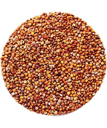 Organic Quinoa Grain (Red) 500g (BWFO) - Buy Online on GoSupps.com