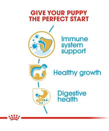 Royal Canin Puppy Food Junior Biscuits for Jack Russell Terrier Puppies Aged 2-10 Months 1.5 kg Bag - Buy Online on GoSupps.com