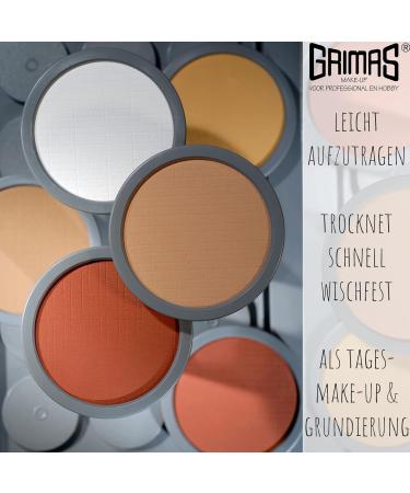 Grimas Cake Makeup B2 Beige 35g - High-Quality Water-Based Foundation Easy Application & Primer for Visagists - Buy Online on GoSupps.com