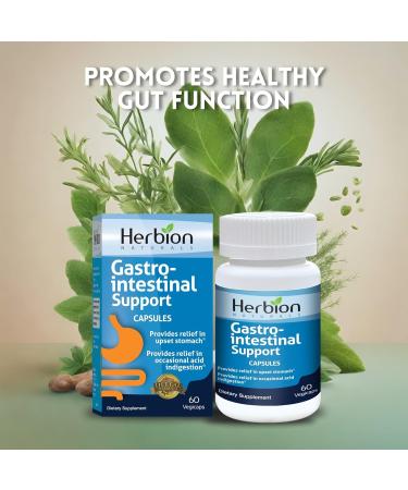 HERBION Naturals Gastro-intestinal Support Herbal Blend for Upset Stomach Relief Gastrointestinal Health and Function Occasional Acid Indigestion Healthy Intestinal Flora 60 Vegicaps - Pack of 3 180 Count (Pack of 3) - Buy Online on GoSupps.com