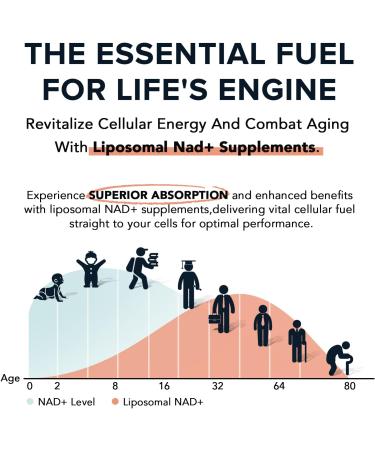1600 mg Liposomal NAD Supplement 98% Pure NAD+ Supplement Superior Absorption Alternative to Nicotinamide Riboside or NADH to Boost NAD+ for Aging Defense Energy Longevity 120 Softgels 60 Count (Pack of 2) - Buy Online on GoSupps.com