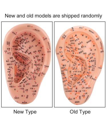 Buy Anggrek Ear Acupuncture Model - Effective Ear Massage & Acupuncture Points Kit for Home Use - International Shipping Available - Buy Online on GoSupps.com