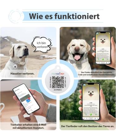 Personalized Dog Tags with Engraving & QR Code - 2PCS (25mm) | Custom Pet Profile Support for Dogs & Cats - Shop Now! - Buy Online on GoSupps.com