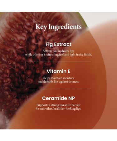 AXIS-Y Vita Glow Lip Oil with Vitamin E & Ceramide - Nourishing & Revitalizing Dry Chapped Lips with Long Lasting Moisturization - Vegan Korean Skin Care Lip Treatment - 0.13 fl. oz. (Cozy Fig) - Buy Online on GoSupps.com