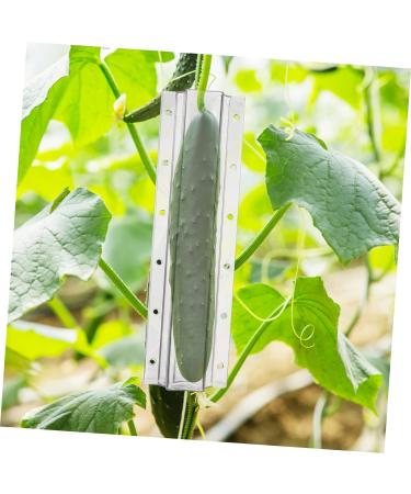 Milisten 16 Pcs Shaped Growth Mold Star Cucumber Shaper Star Shaped Cucumber Vegetable Growing Molds Cucumber Growing Decor Growing Medium Fruit Cucumber Mold Chocolate Accessories Plastic As Shownx4pcs mediumx4pcs - Buy Online on GoSupps.com