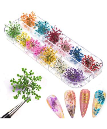 Kingmas 12 Colors Dried Flowers Nail Art Supplies - Mini Real Natural 3D Applique Decoration Sticker - Buy Online on GoSupps.com