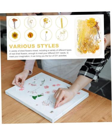 Zerodeko 1 Box Dried Flowers Dry Flowers for Resin Dried Hydrangea Flowers Scrapbooking Art Floral Picture Frame Flower Diy Floral Material Package Pressed Flowers Natural Fine Decorate Yellow 11X1CM - Buy Online on GoSupps.com