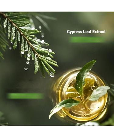 Yaepoip Nature Triangle Shampoo Bar Cypress Leaf Usman Grass Shampoo Bar for Women and Men 2pcs - Buy Online on GoSupps.com