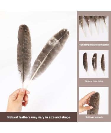 Outuxed 15pcs Natural Turkey Feathers for Crafts - 10-12 Inches - DIY Home Wedding Party Decoration - Buy Online on GoSupps.com