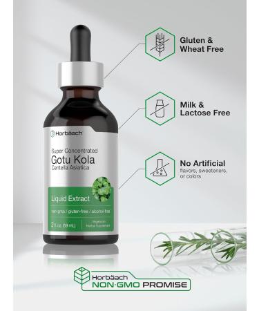 Horb ach Gotu Kola Extract | 2 fl oz | Alcohol Free | Super Concentrated Liquid Herb Supplement | Vegetarian Non-GMO Gluten Free - Buy Online on GoSupps.com