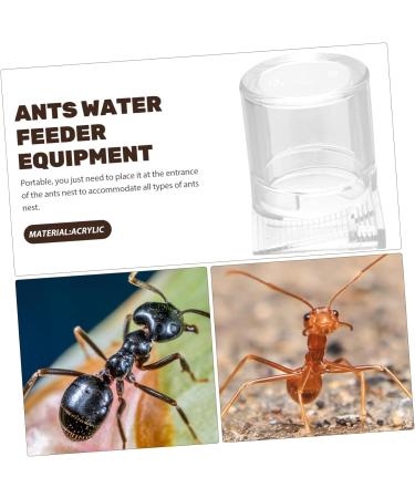 Pet Water Feeder Ant Feed Bowl Automatic Ants Feeder Ant Watering Station Ant Bottle Feeder Ant Water Feeders Ant Nest Water Dispenser Ant Nest Feeder Plastic To Feed Ant Bowl - Buy Online on GoSupps.com