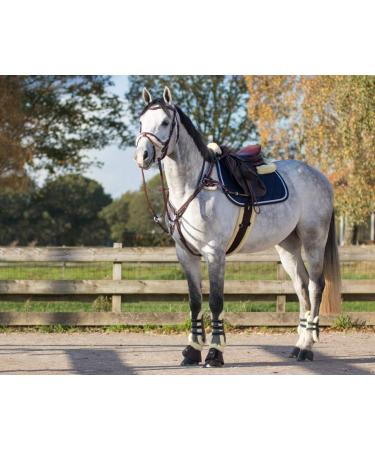 ARBO-INOX Breastplate Leather 5-Point Harness with Martingale - Cob Black | International Shipping Available - Buy Online on GoSupps.com