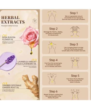 Aislor Botanical Essential Oils for Massage Spa Home Diffuser-lavender Rose And Ginger (30ml Each) for Skin And Body Care. Rose One Size One Size Rose - Buy Online on GoSupps.com