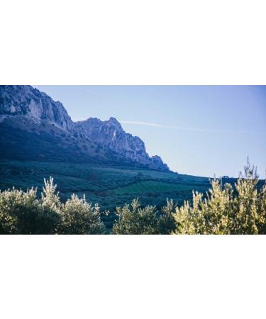 x Parqueoliva Serie Oro (S rie Or) 500 ml - Huile d'olive vierge extra espagnole avec tui en noir - Buy Online on GoSupps.com