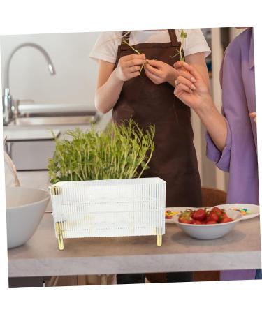 Generic Box Plastic Stand Egg Trays for Deviled Eggs Household Organizer for Refrigerator Carton re-usable Transparent 26.5X16X10CM - Buy Online on GoSupps.com