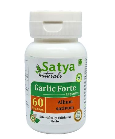 Garlic Forte Capsule 500 mg. 60 Veg. Capsule | Lahsan (Allium Sativum) Extract Capsules for Men and Women | Ayurvedic Herbal Supplement/Remedies | 10:1 Forte (1 Bottle of 60 Capsules) 60 Count (Pack of 1)