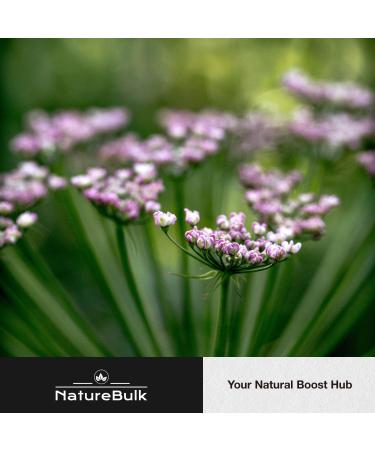 NATUREBULK Valerian Root Capsules -Equivalent to 1 0000mg 4X Concentrated Extract - Highly Concentrated 120 Capsules - Buy Online on GoSupps.com