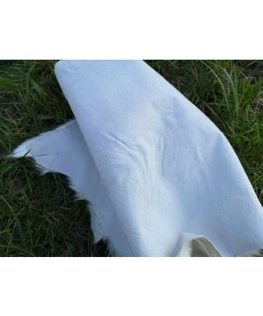 Provellus Goatskins Goat Fur No Odour Top Tanning Natural Bargain (Dark Pack of 5 90-110 cm) - Buy Online on GoSupps.com